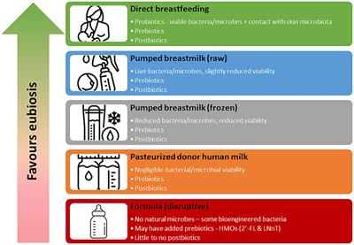 The role of antibiotic exposure and the effects of breastmilk and human milk feeding on the developing infant gut microbiome